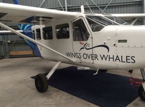 Plane