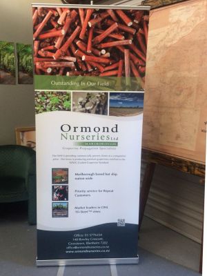 Pull-up-banner-resized